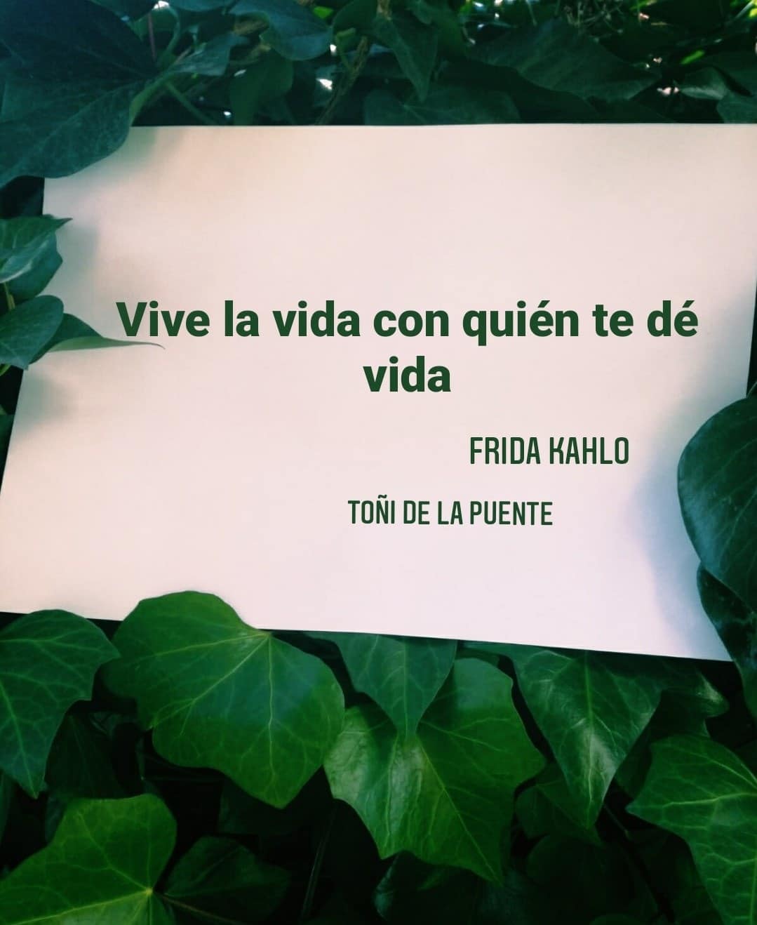 frases viva la vida