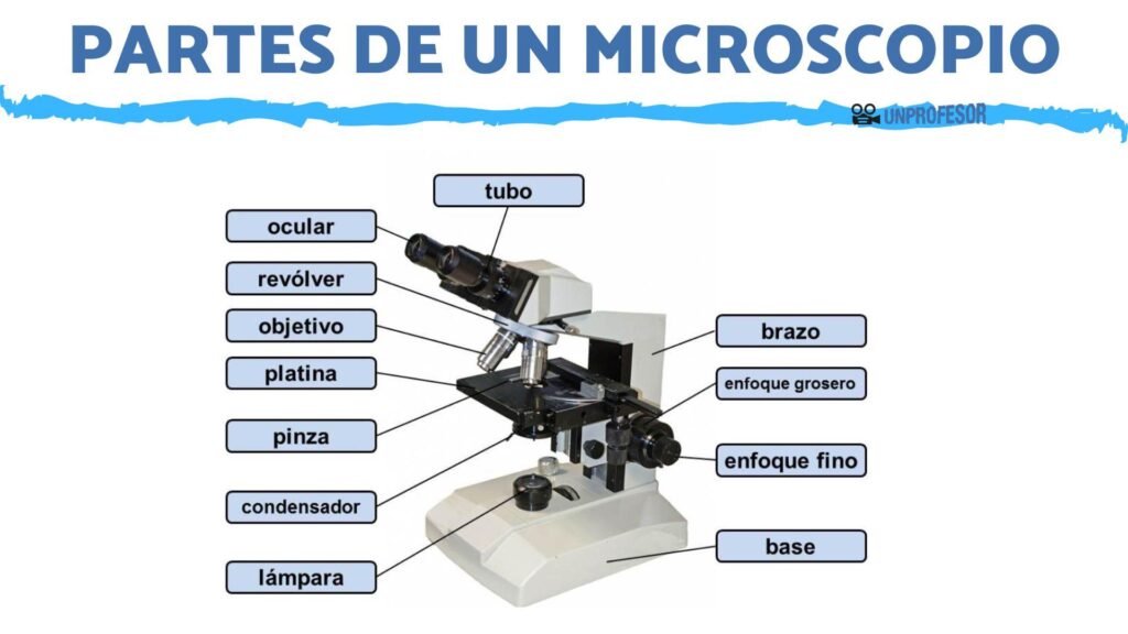 partes del microscopio