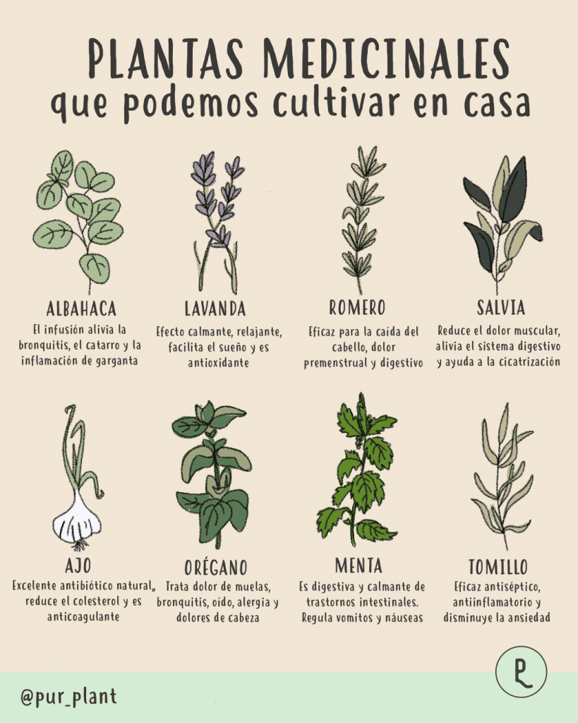 plantas medicinales