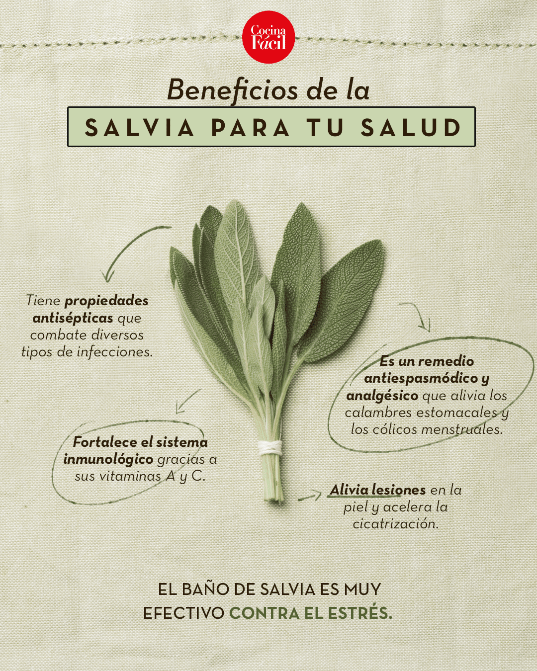 propiedades salvia