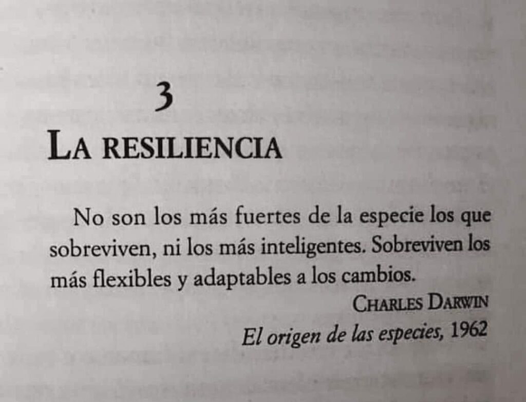 resiliencia frases