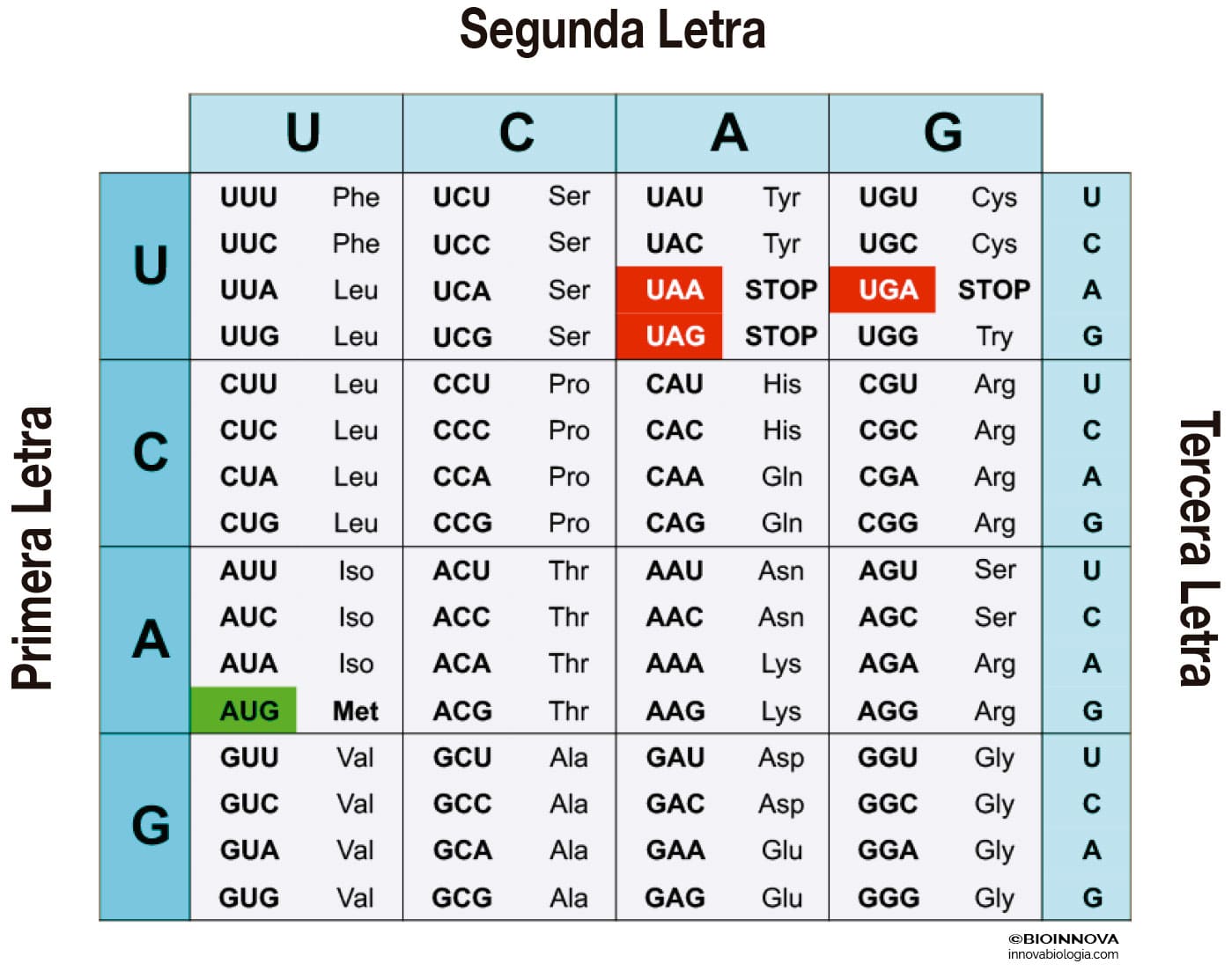 tabla aminoacidos