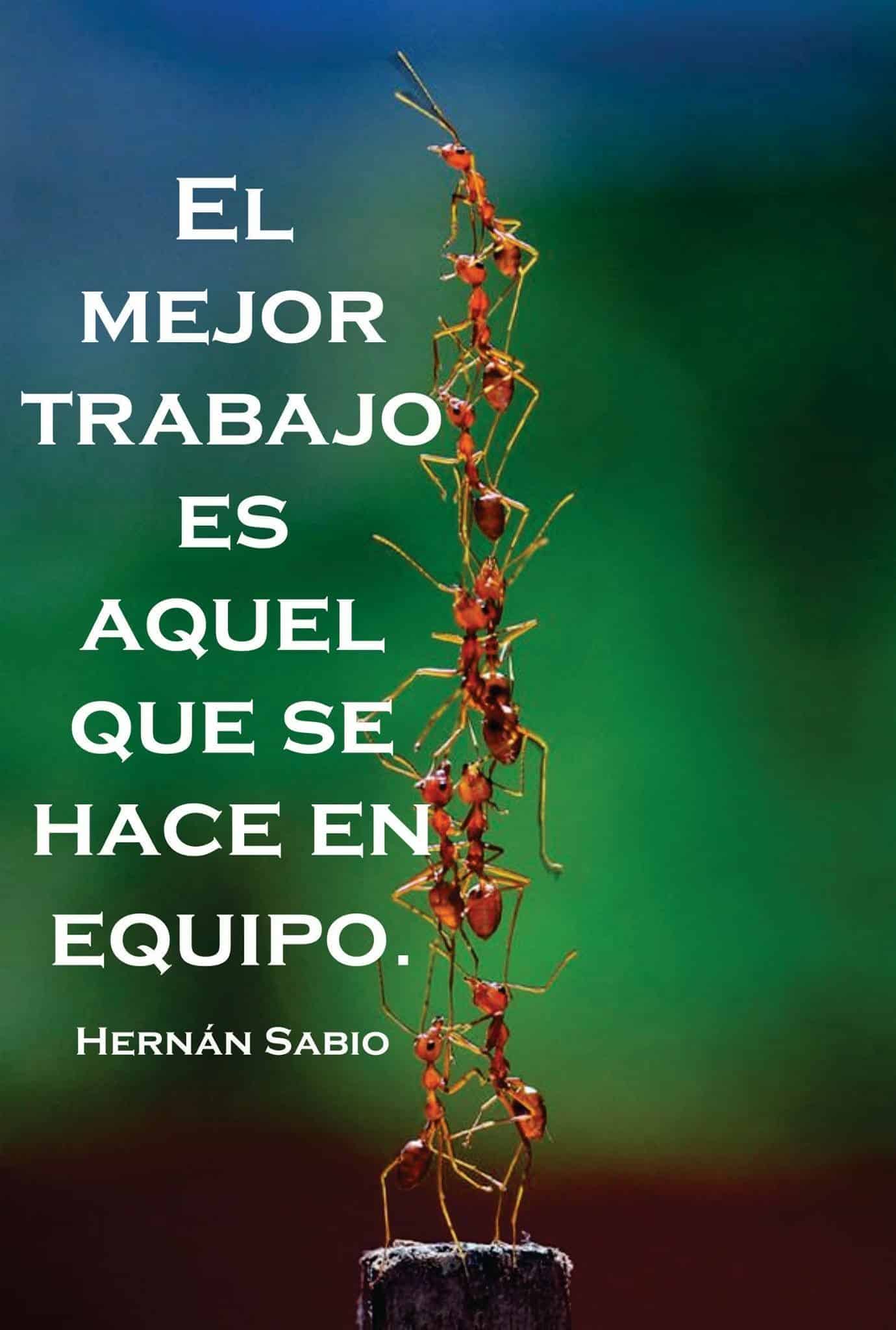 trabajo en equipo frases