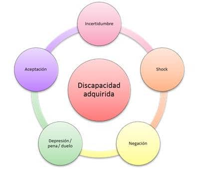 proceso discapacidad