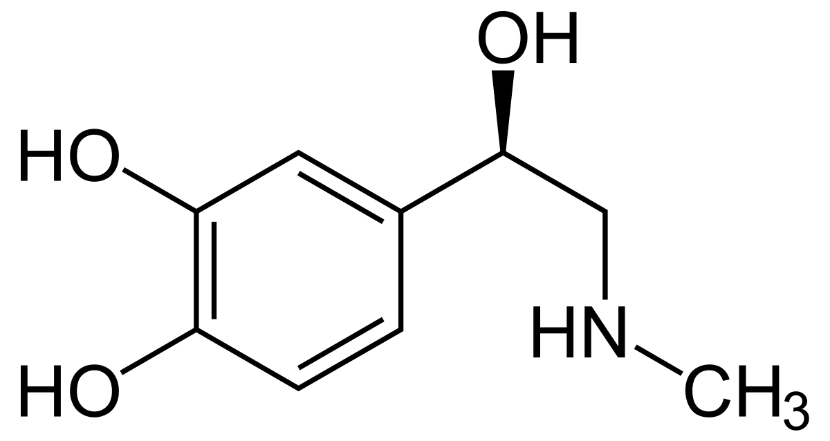 adrenalina hormona