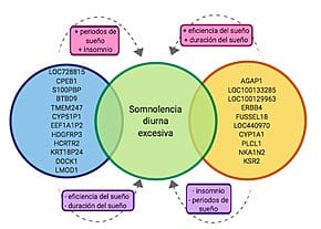 causas somnolencia