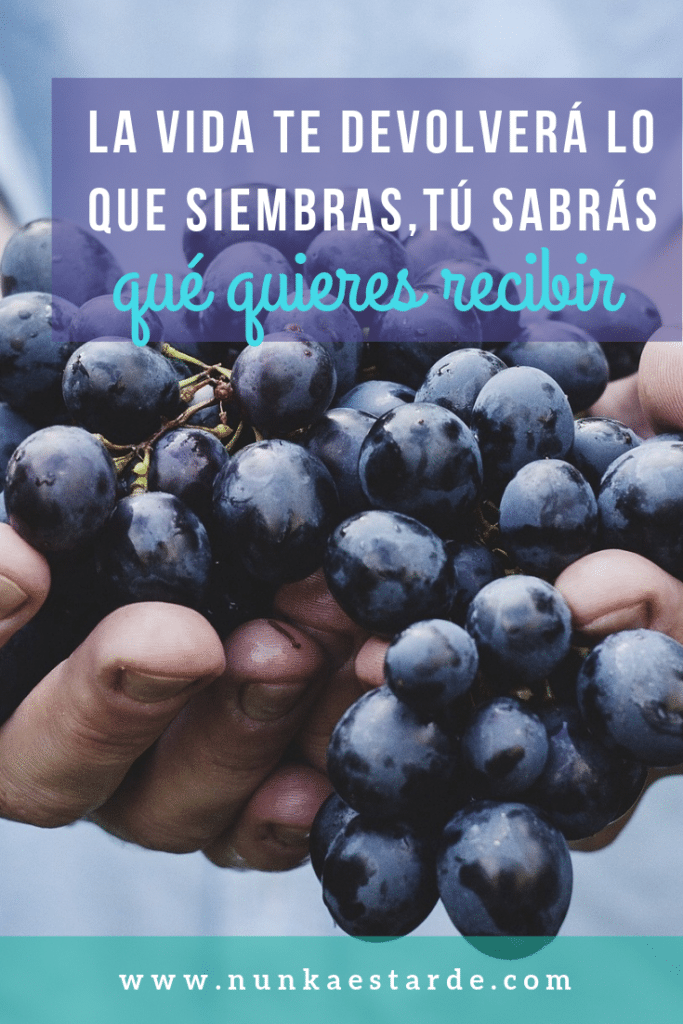 quieres vida